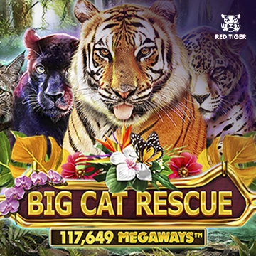 Big Cat Rescue Megaways - SPONSOR777
