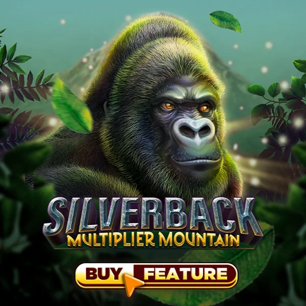 Silverback Multiplier Mountain - SPONSOR777