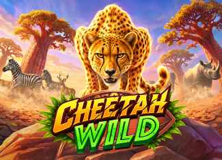 Cheetah Wild - SPONSOR777