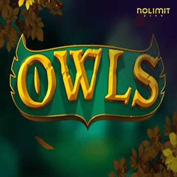 Owls - SPONSOR777
