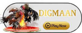 Digman - SPONSOR777